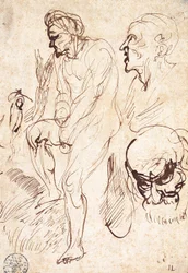 Studies after the Model